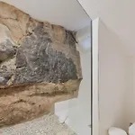 Vakantiehuis Ibaiale Cazadores