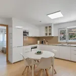 Ibaiale Vakantiehuis Cazadores