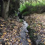 Ibaiale Cazadores