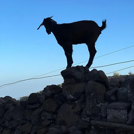 Ibaiale * Cazadores